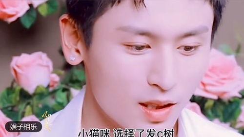 爆料房产视频素材大全集,全方位解析房产营销奥秘 第3张 爆料房产视频素材大全集,全方位解析房产营销奥秘 第3张